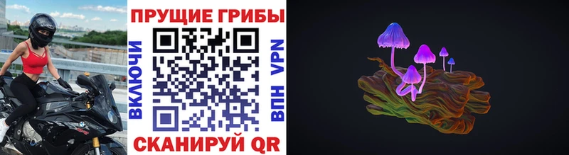 ОМГ ОМГ онион Катайск Псилоцибиновые грибы Magic Shrooms